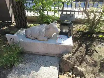 六波羅蜜寺の狛犬