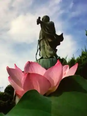 長善寺(東京都)