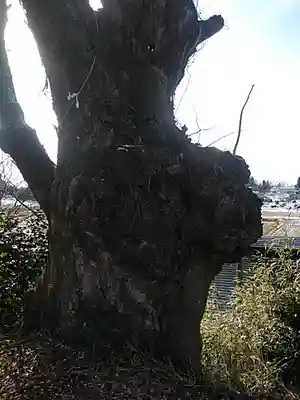 浮島神社(福島県)