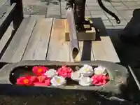 月蔵寺(大阪府)