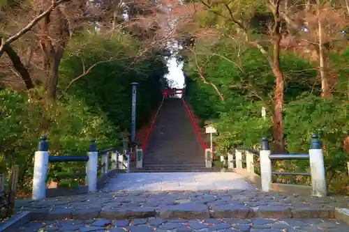 大崎八幡宮の自然