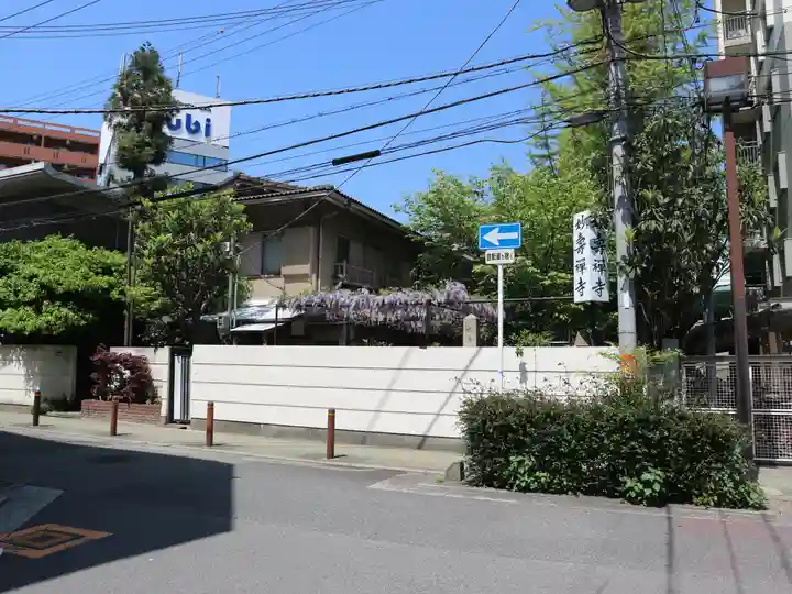 妙壽禅寺(妙寿寺)の自然