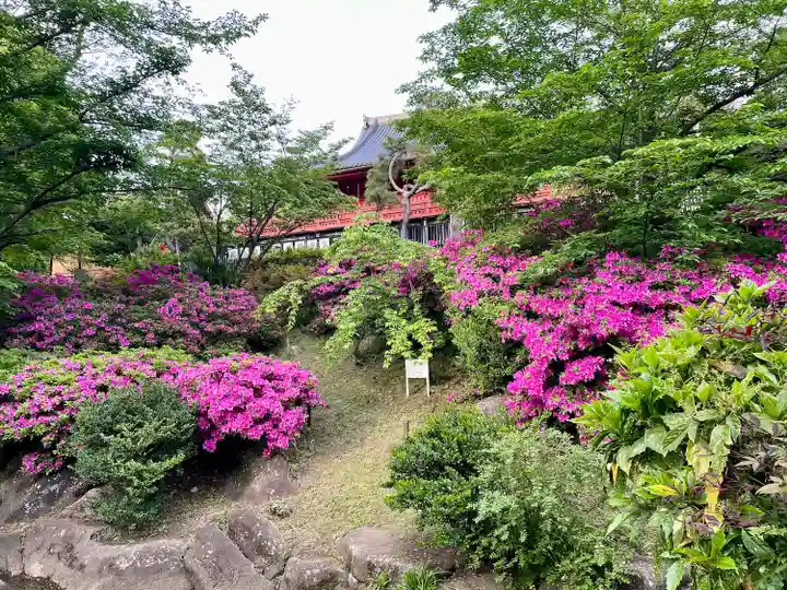清水観音堂(東京都)