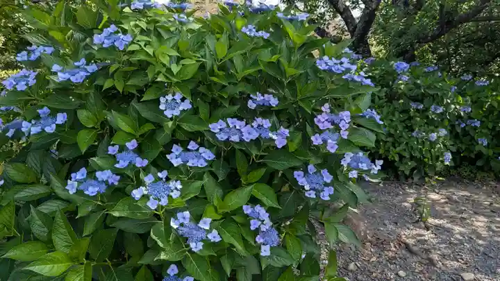 新知恩院(滋賀県)