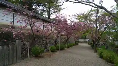 金剛寺のその他建物