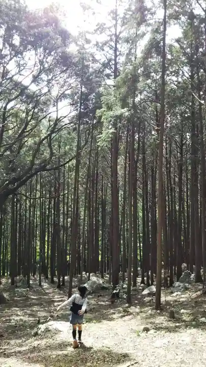 渭伊神社の自然