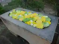 宝珠寺の手水舎