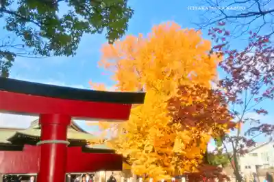 葛飾八幡宮(千葉県)