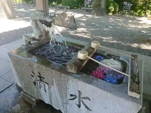 白髭神社の手水