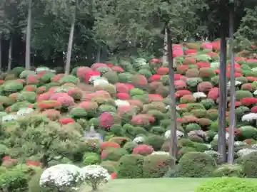 七国山薬王寺(東京都)