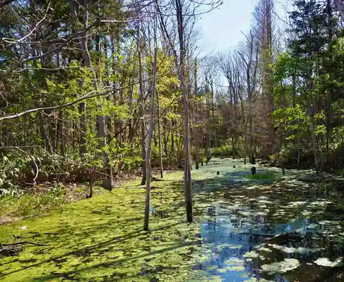 岩内神社(北海道)
