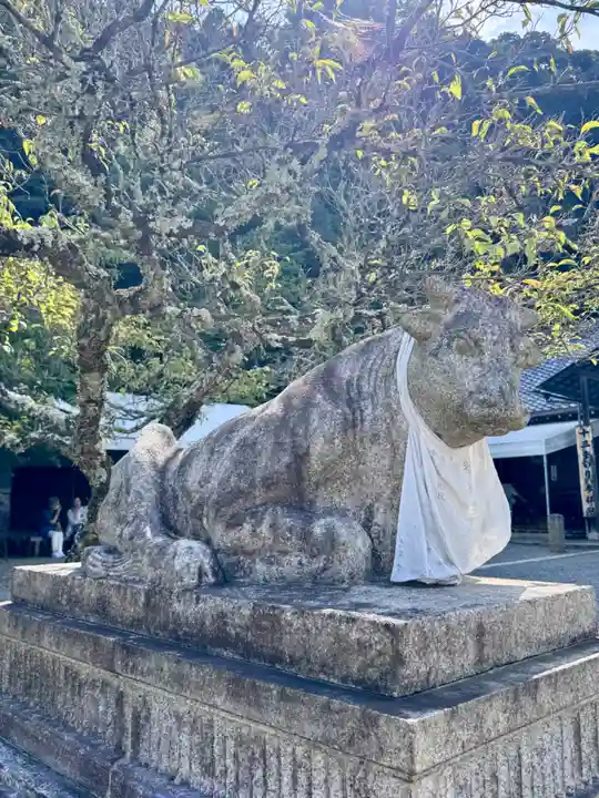 法輪寺(京都府)