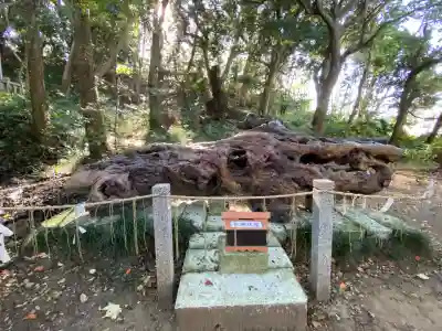 泉神社(茨城県)