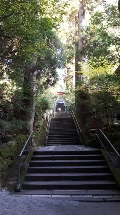 箱根神社のその他建物