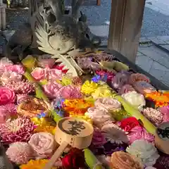 柳谷観音　楊谷寺(京都府)