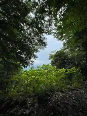 三峯神社奥宮(埼玉県)