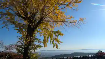 三鈷寺(京都府)