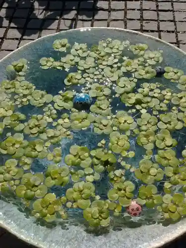 行田八幡神社の手水舎