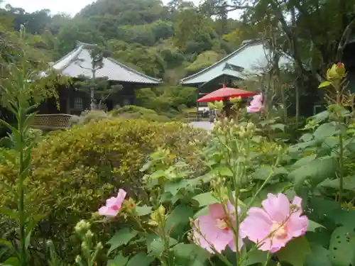 海蔵寺の庭園