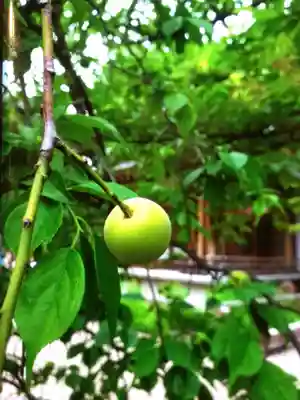 鳩森八幡神社(東京都)