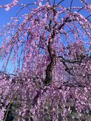 花乃丘神社(三重県)