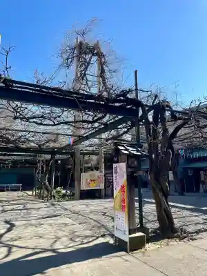 國領神社の{uncategorized: "未分類", other: "その他", undefined: "問題あり", building: "その他建物", grave: "お墓", sacred_gate: "鳥居", guardian: "狛犬", statue: "像", buddha: "仏像", history: "歴史", nature: "自然", garden: "庭園", animal: "動物", pagoda: "塔", temizu: "手水舎", mountain_gate: "山門・神門", sanctuary: "本殿・本堂", subordinate: "末社・摂社", art: "芸術", scenery: "景色", jizo: "地蔵", ema: "絵馬", goshuin: "御朱印", omikuji: "おみくじ", items: "授与品その他", amulet: "お守り", goshuincho: "御朱印帳", eats: "食事", festival: "お祭り", votive_dance: "神楽", shichigosan: "七五三参", wedding: "結婚式", experience: "体験その他", initially: "初詣", around: "周辺", anti_infection: "感染症対策"}