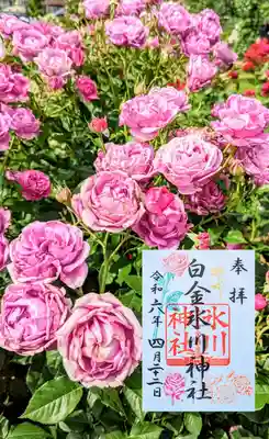 月替り御朱印 4月