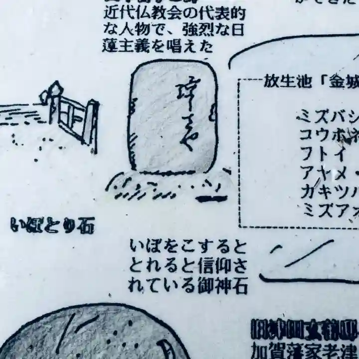 金澤神社(石川県)