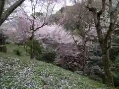 大神神社(奈良県)