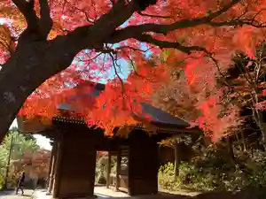 普門寺(切り絵御朱印発祥の寺)の山門・神門(2021年12月11日(土) 12時47分43秒投稿)