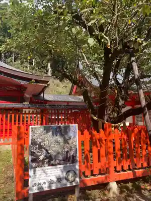 金櫻神社(山梨県)