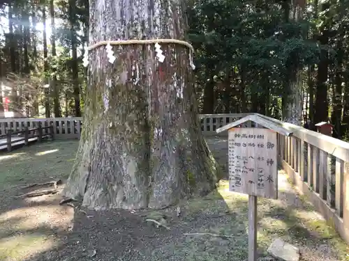 霧島神宮(鹿児島県)