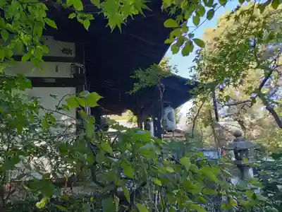 元慶寺(京都府)