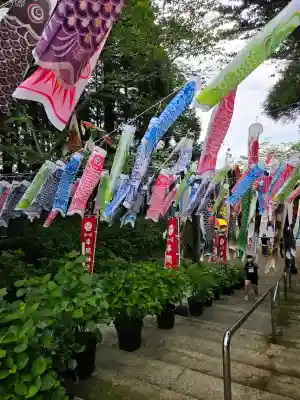 串間神社の{uncategorized: "未分類", other: "その他", undefined: "問題あり", building: "その他建物", grave: "お墓", sacred_gate: "鳥居", guardian: "狛犬", statue: "像", buddha: "仏像", history: "歴史", nature: "自然", garden: "庭園", animal: "動物", pagoda: "塔", temizu: "手水舎", mountain_gate: "山門・神門", sanctuary: "本殿・本堂", subordinate: "末社・摂社", art: "芸術", scenery: "景色", jizo: "地蔵", ema: "絵馬", goshuin: "御朱印", omikuji: "おみくじ", items: "授与品その他", amulet: "お守り", goshuincho: "御朱印帳", eats: "食事", festival: "お祭り", votive_dance: "神楽", shichigosan: "七五三参", wedding: "結婚式", experience: "体験その他", initially: "初詣", around: "周辺", anti_infection: "感染症対策"}
