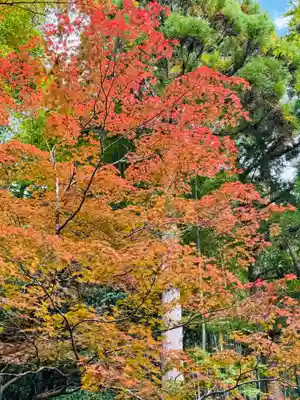 今熊野観音寺(京都府)