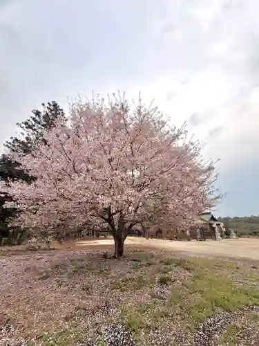 鹿嶋三嶋神社(茨城県)