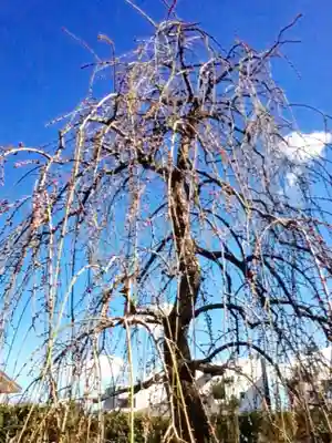 常性寺(東京都)