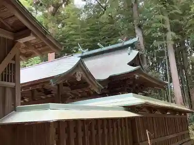 丹生神社の本殿・本堂
