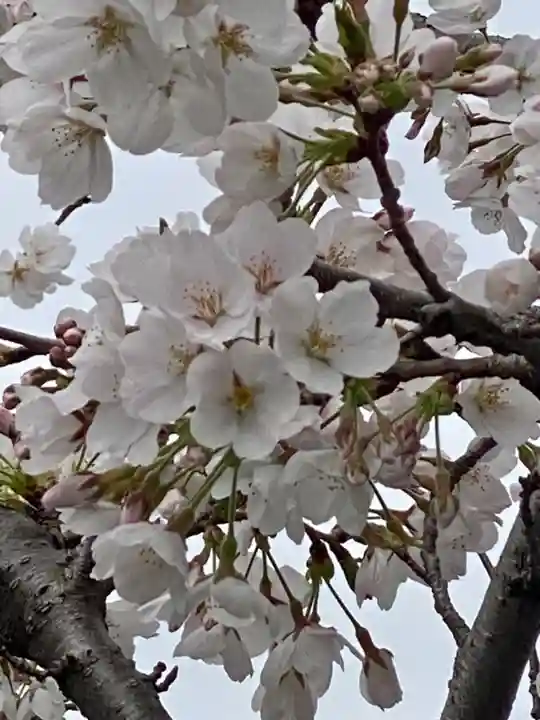行住院(京都府)