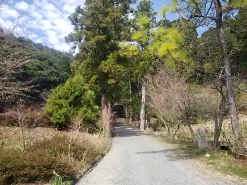 羽賀寺の周辺