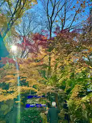 大國魂神社(東京都)