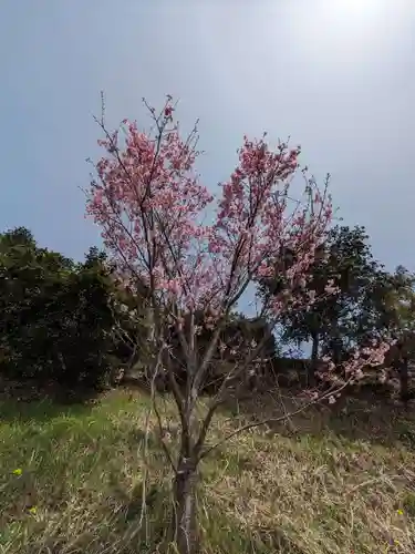 石内のお大師さん　金剛院(広島県)