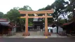 明治神宮の鳥居