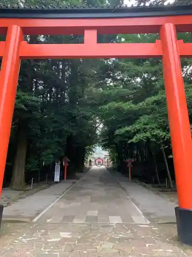 霧島神宮の鳥居