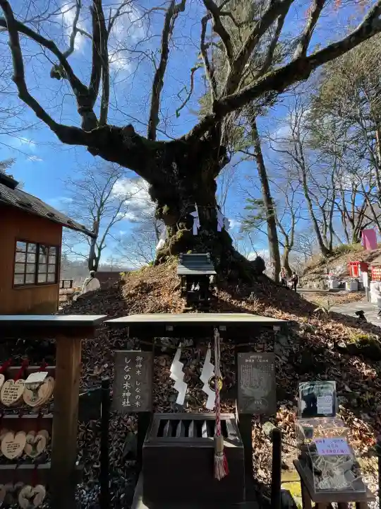 熊野皇大神社(長野県)