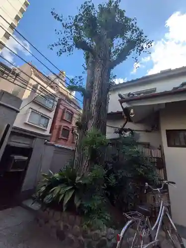 西光院(東京都)