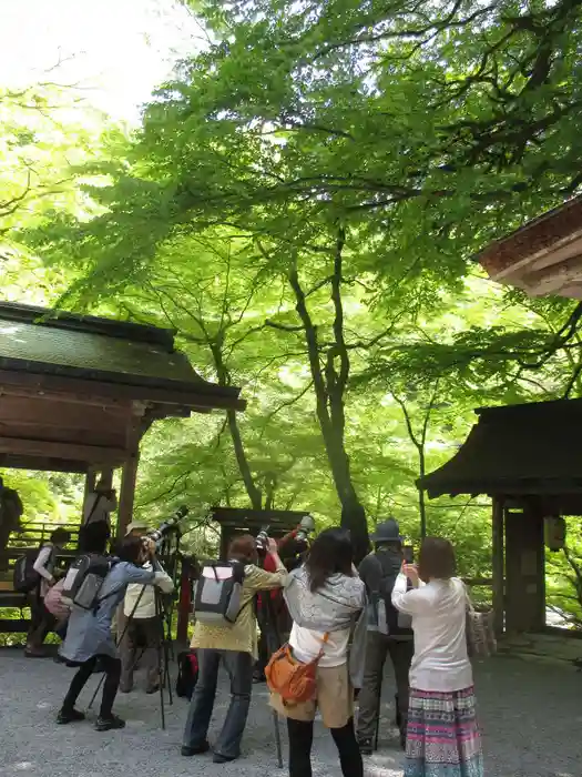 貴船神社の建物その他