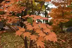 北海道護國神社の自然