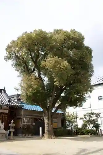 跡部神社の自然