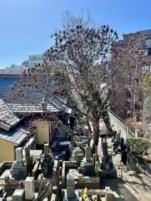 還国寺の{uncategorized: "未分類", other: "その他", undefined: "問題あり", building: "その他建物", grave: "お墓", sacred_gate: "鳥居", guardian: "狛犬", statue: "像", buddha: "仏像", history: "歴史", nature: "自然", garden: "庭園", animal: "動物", pagoda: "塔", temizu: "手水舎", mountain_gate: "山門・神門", sanctuary: "本殿・本堂", subordinate: "末社・摂社", art: "芸術", scenery: "景色", jizo: "地蔵", ema: "絵馬", goshuin: "御朱印", omikuji: "おみくじ", items: "授与品その他", amulet: "お守り", goshuincho: "御朱印帳", eats: "食事", festival: "お祭り", votive_dance: "神楽", shichigosan: "七五三参", wedding: "結婚式", experience: "体験その他", initially: "初詣", around: "周辺", anti_infection: "感染症対策"}